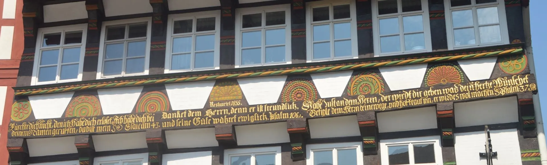 Folge Neuer Markt
