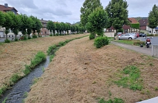 Beseitigung, Anlandungen, Bermen, Gande
