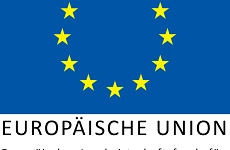 EU Logo EU