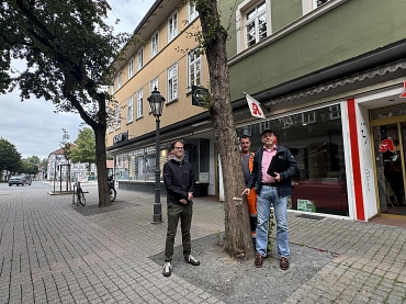 Standsicherheit, Bäume, Marktstraße&nbsp;&copy;&nbsp;Stadt Einbeck