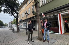 Standsicherheit, Bäume, Marktstraße